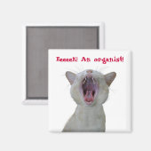 Week! Een organist! Magneet (Voorkant / Achterkant)