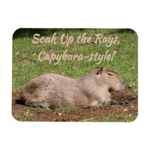 Week op de Stralen, Capybara-stijl! Magneet