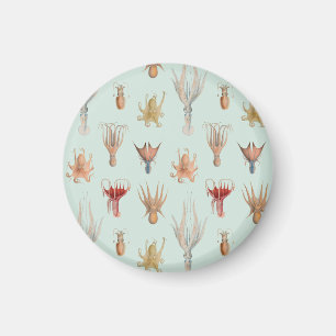 weekdieren (blauw) magneet