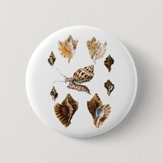 weekdieren en slakken, mariene levende organismen ronde button 5,7 cm (Voorkant)