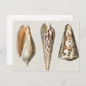 Weekdieren  geïllustreerd briefkaart (Voorkant / Achterkant)