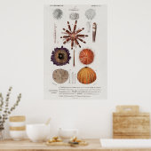  weekdierillustratie poster (Keuken)