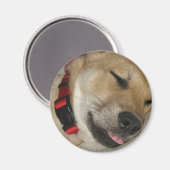 Weekend Dexter Bebe Magnet (Recto/Verso)