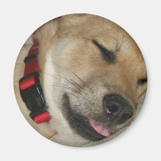 Weekend Dexter Bebe Magnet Magneet