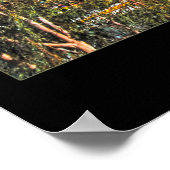 Weekend in Paradise Channel Wall Art Poster (Hoek)