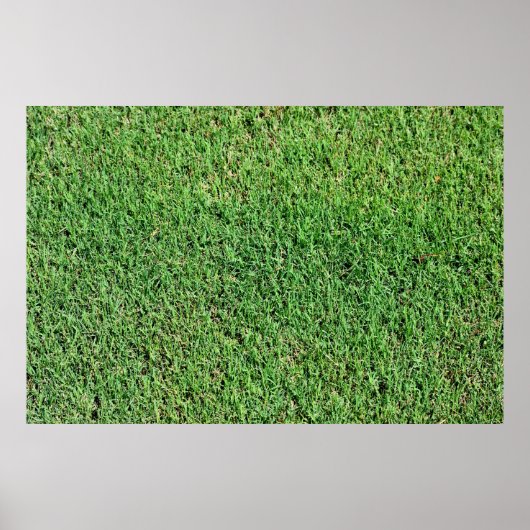 Weelderig groen gazon gras poster (Voorkant)