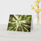 Weelderig Groen Regenwoud Kaart (Gele Bloem)