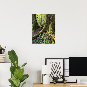 Weelderig Groene Bos Fotografische Natuur Poster