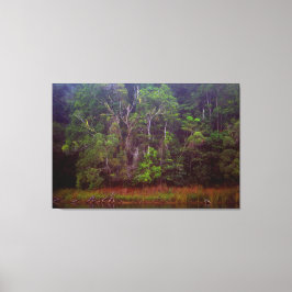 WEELDERIG REGENWOUD 32x48 Canvas Afdruk