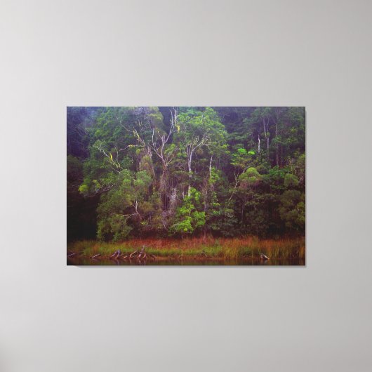 WEELDERIG REGENWOUD 32x48 Canvas Afdruk (Voorkant)