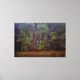 WEELDERIG REGENWOUD 40x60 Canvas Afdruk