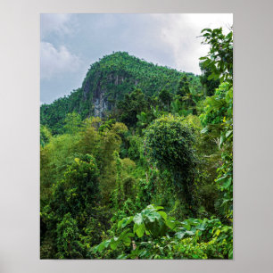 Weelderig regenwoud en El Yunque-piek Poster