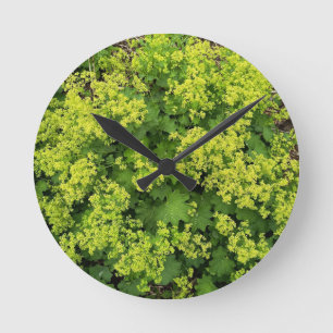 Weelderige groene klimop botanische natuur wandklo ronde klok