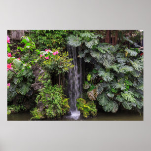 Weelderige tuitwaterval, China Poster
