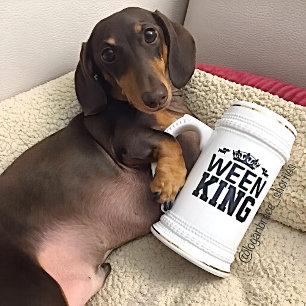 Ween King Dachshund Dad Stein Mok - Vaderdag