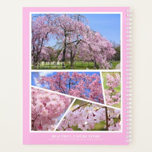 Weeping Cherry Blossom [Planner's Notebook] Planner (Achterkant)