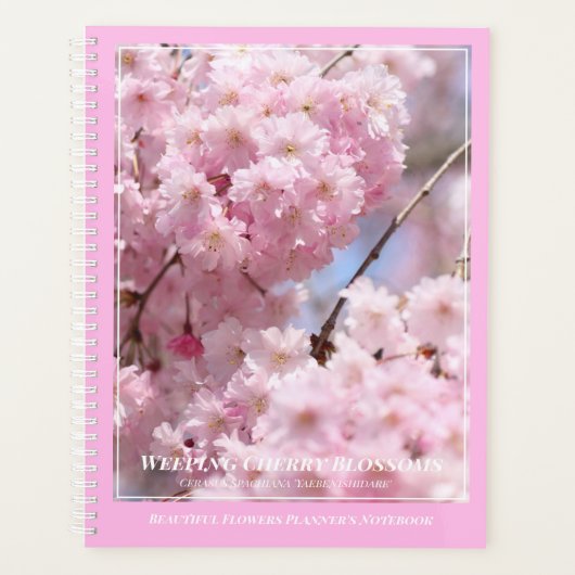 Weeping Cherry Blossom [Planner's Notebook] Planner (Voorkant)