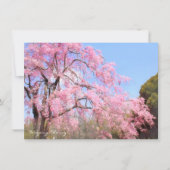 Weeping Cherry: Flat Card (Voorkant)