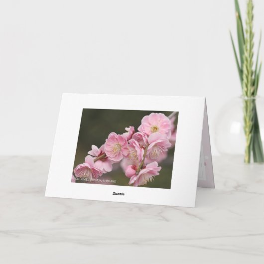 Weeping Japanese Apricot Kaart (Achterkant)