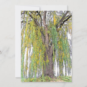 WEEPWILLOW/GEEL EN GROENE TENDRILEN/BLANK