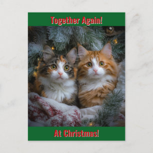 Weer bij elkaar met kerst! briefkaart
