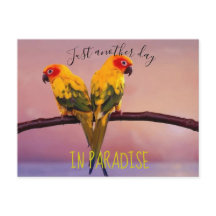 Weer een dag in het paradijs