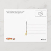 Weergave van verschillende vissoorten briefkaart (Achterkant)
