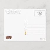 Weergave van verschillende vissoorten briefkaart (Achterkant)