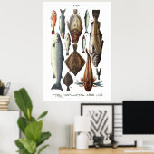 Weergave van verschillende vissoorten poster (Thuiskantoor)