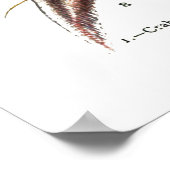 Weergave van verschillende vissoorten poster (Hoek)