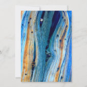 weerkaatste blauwe schuur (Achterkant)