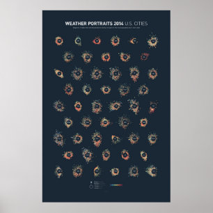 Weerportretten 2014: Amerikaanse steden Poster