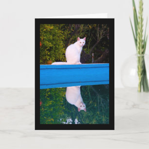 Weerspiegeling van een portret van een witte kat kaart