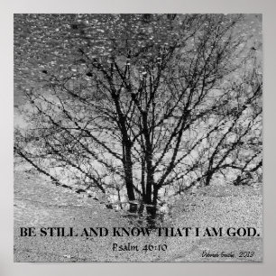 Weerspiegeling van zwarte en witte bomen poster