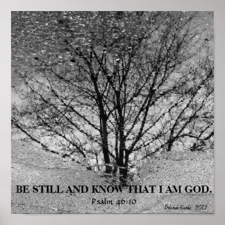 Weerspiegeling van zwarte en witte bomen poster