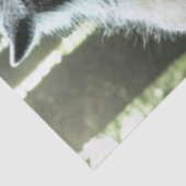 Weerwolf die het hele dorp tissuepapier at (Detail)