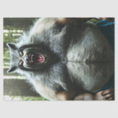 Weerwolf die het hele dorp tissuepapier at (Voorkant)