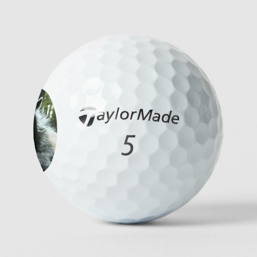 Weerwolf Taylor Made TP5 golfballen 3 pk (Logo)