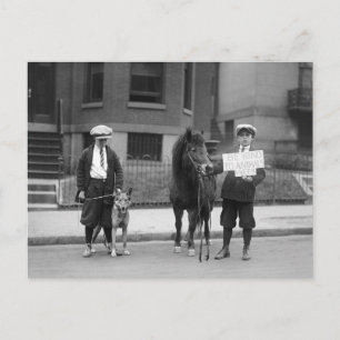 Wees aardig tegen de dierentuin Week 1923 Briefkaart