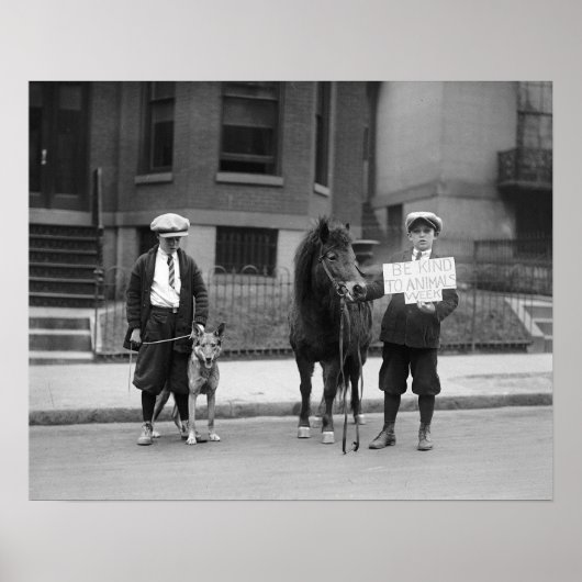 Wees aardig voor de dierentuin Week, 1923.  foto Poster (Voorkant)