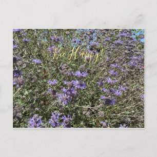 Wees blij! Briefkaart Cleveland Sage