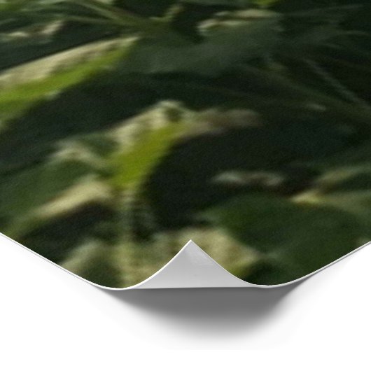 Wees blij. poster (Hoek)