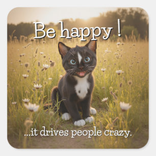 Wees blij - vrolijke kat in de Natuur Vierkante Sticker