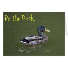 Wees de Duck