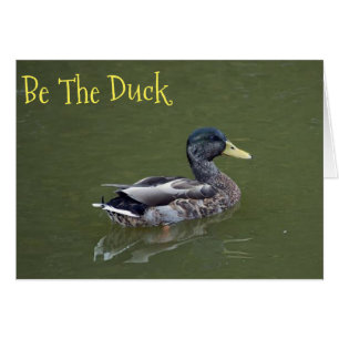 Wees de Duck