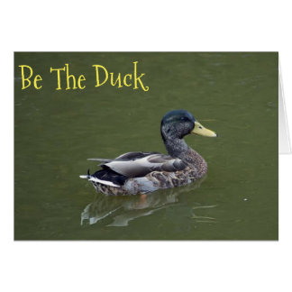 Wees de Duck