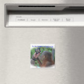 Wees de Verandering: Gezicht in de Spiegel Magneet (Insitu (Vaatwasser))