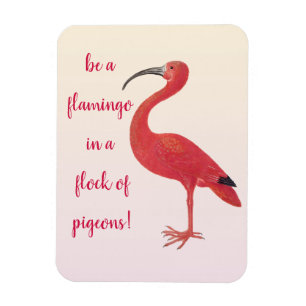 Wees een Flamingo - Fun, Inspirerend Citaat Magneet