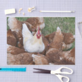 Wees een uitstapje! Papier voor kippen (Craft)