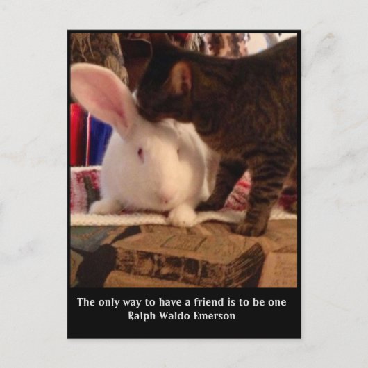 Wees een vriend Briefkaart (Voorkant)